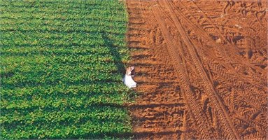 עושים זום: הצלמים שאתם חייבים להכיר 